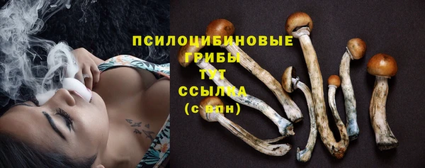 марки lsd Абаза