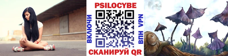 Галлюциногенные грибы GOLDEN TEACHER Куровское