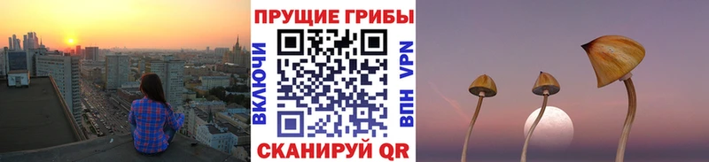 Галлюциногенные грибы мухоморы  наркотики  Куровское 